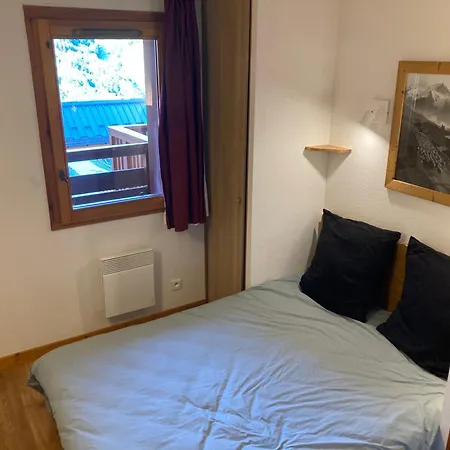 Aster 203 Valloire