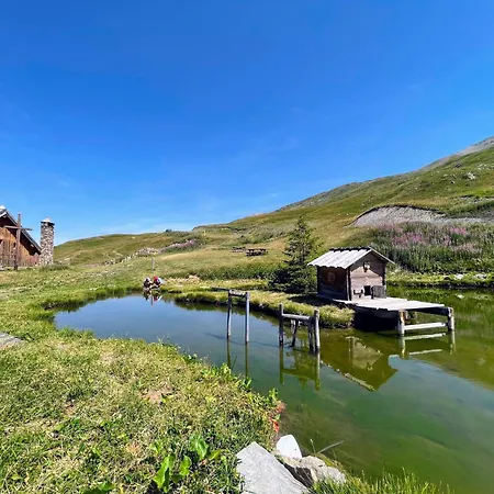 Aster 203 Valloire